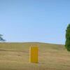 Yellow Door_ Clubul de film din anii ’90