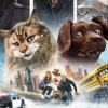 Cat & Dog