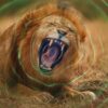 Lumea secretă a sunetului, cu David Attenborough