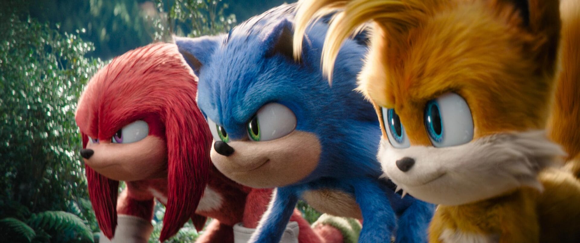 Sonic ariciul 3