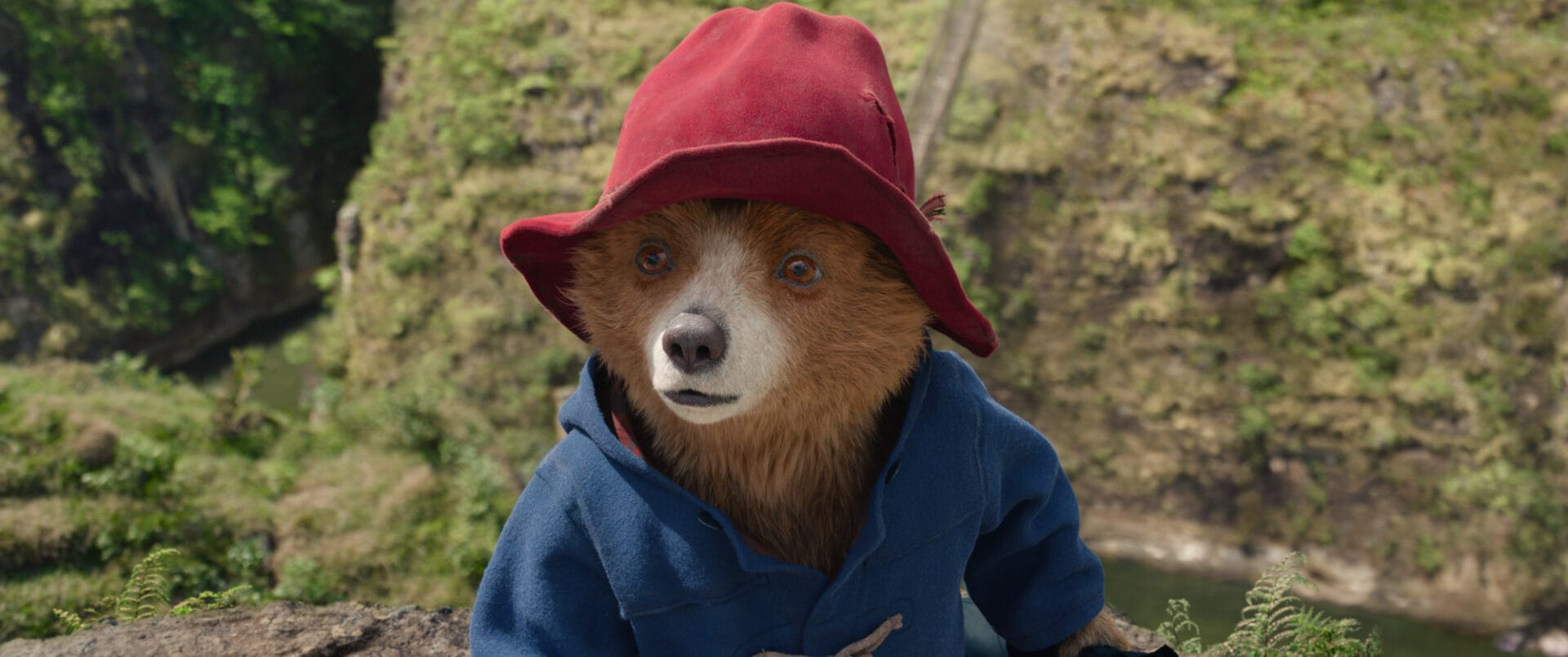 Paddington în Peru