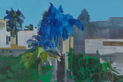 Hurvin Anderson, Hawksbill Bay